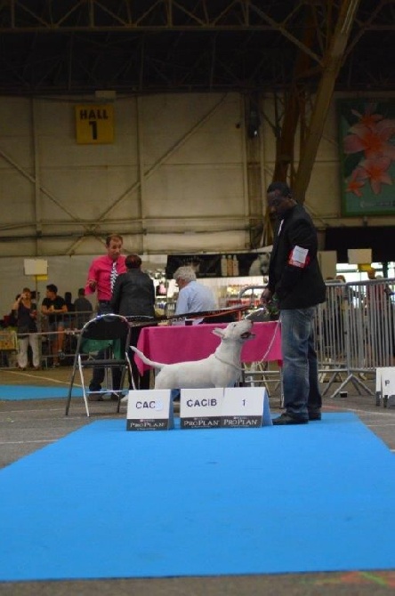 Des Gardiens De Chartreuse - Exposition de Dijon 6 septembre 2014