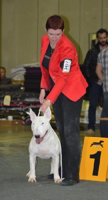 89 th International Dog Show 31 Août 2014